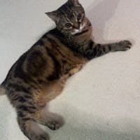 NUFさんのプロフィールアイコン