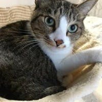 ひろさんのプロフィールアイコン