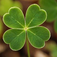 木村昌司さんのプロフィールアイコン