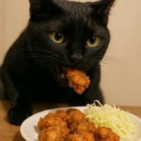 SYS外丸さんのプロフィールアイコン