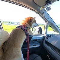 魚住さんのプロフィールアイコン