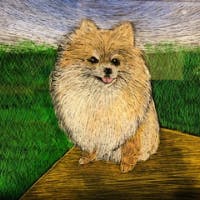 ryurikiさんのプロフィールアイコン
