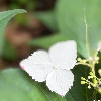 塚田　珠恵さんのプロフィールアイコン