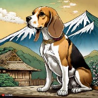 アワコさんのプロフィールアイコン