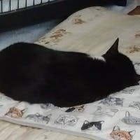 大橋真弓さんのプロフィールアイコン