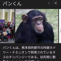 田中雅史さんのプロフィールアイコン