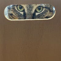 まつばやしさんのプロフィールアイコン