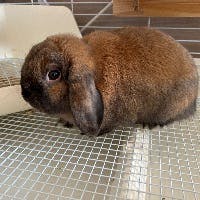 虎三郎さんのプロフィールアイコン