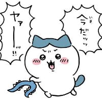 ハチワレさんのプロフィールアイコン