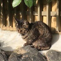 ヌーボーさんのプロフィールアイコン