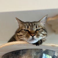 toraさんのプロフィールアイコン