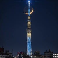 みずおちしょういちさんのプロフィールアイコン