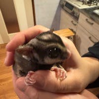 杉ちゃんさんのプロフィールアイコン