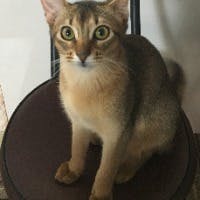 島田ユウキさんのプロフィールアイコン
