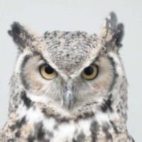 中村　武彦さんのプロフィールアイコン