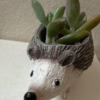 フローレンさんのプロフィールアイコン