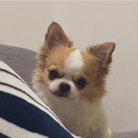 えばゆきさんのプロフィールアイコン