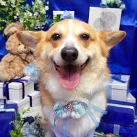 けいさんのプロフィールアイコン
