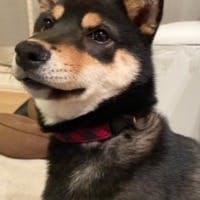 タマニキさんのプロフィールアイコン