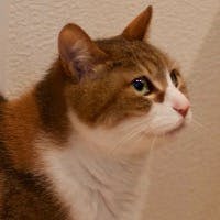 kitayuiさんのプロフィールアイコン