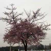 TAKAさんのプロフィールアイコン