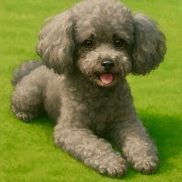 FUNEさんのプロフィールアイコン