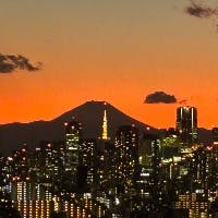 tomyさんのプロフィールアイコン