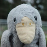 ハクビシンさんのプロフィールアイコン