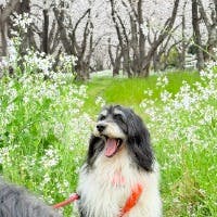 Taizouさんのプロフィールアイコン