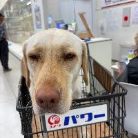 oklahomasaさんのプロフィールアイコン