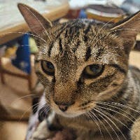 まゆさんのプロフィールアイコン