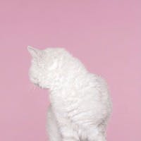 mizuさんのプロフィールアイコン