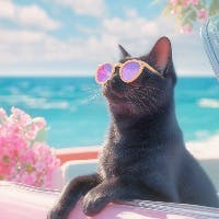 だーくさんのプロフィールアイコン
