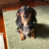 ともこさんのプロフィールアイコン