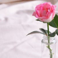 真由美さんのプロフィールアイコン