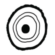 BOTANICAさんのプロフィールアイコン