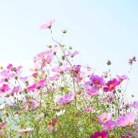 IBG-motoさんのプロフィールアイコン