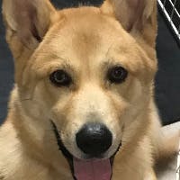 生熊航吉さんのプロフィールアイコン