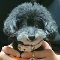 ひろひささんのプロフィールアイコン