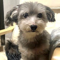 yoshiさんのプロフィールアイコン