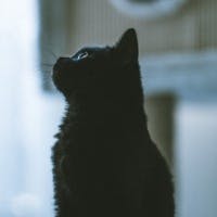 Kenji Hasegawaさんのプロフィールアイコン