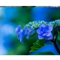 そのこさんのプロフィールアイコン