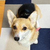 N Fukudaさんのプロフィールアイコン