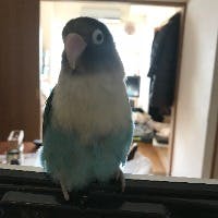 武下浩二さんのプロフィールアイコン