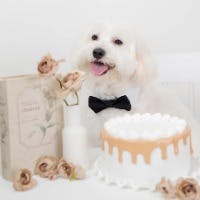 中村愛花さんのプロフィールアイコン