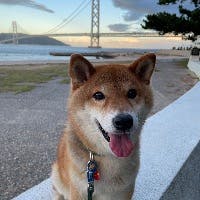 優子さんのプロフィールアイコン