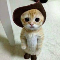 長ぐつをはいた猫さんのプロフィールアイコン