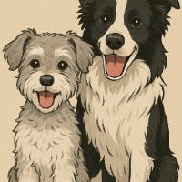 東海林　昇さんのプロフィールアイコン