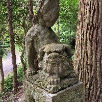 うーちゃんさんのプロフィールアイコン