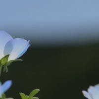 上野栄子さんのプロフィールアイコン